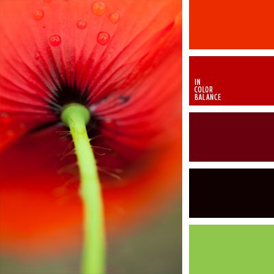 red poppy color inspiration color combination color pallets color palettes color scheme