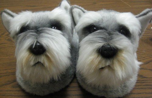 Dog Slippers Uk Schnauzer Dog Slippers Uk Schnauzer