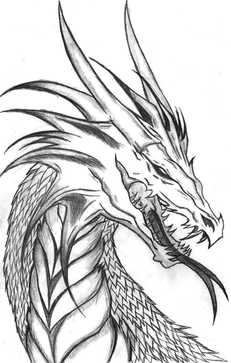 mythical creatures drawings u0026paintings diy stuff pinterest mythical creatures drawings u0026paintings diy stuff pinterest