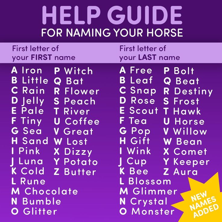 Pin By Alison Shea On Star Stable Game And The App Lettering First pin-by-alison-shea-on-star-stable-game-and-the-app-lettering-first