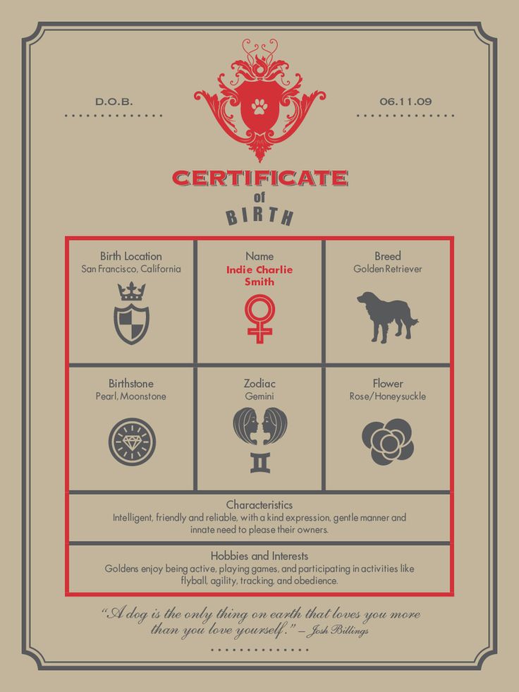 teddy birth certificate template best 25 birth certificate ideas on obtain teddy birth certificate template best 25 birth certificate ideas on obtain