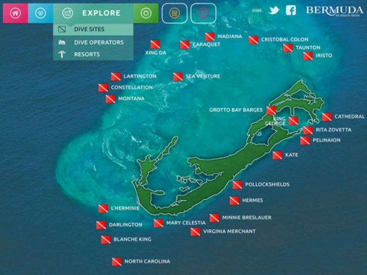 The Top 10 Dive Sites in Bermuda | Best scuba diving, Diving, Bermuda