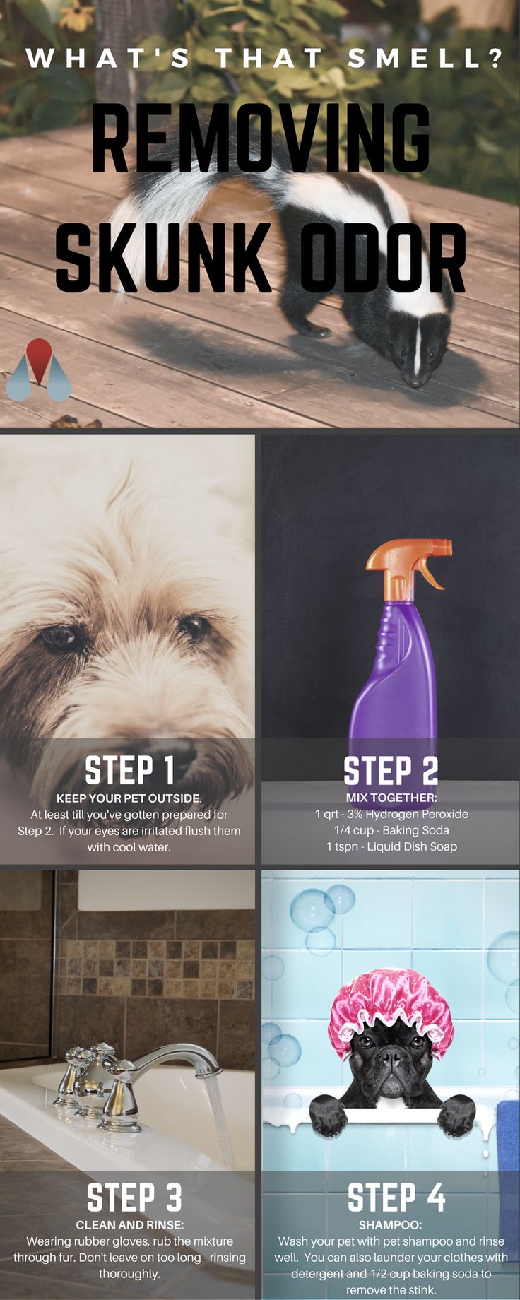 puppy breath smells like skunk best 25 skunk smell ideas on skunk skunk smell remover and skunk puppy breath smells like skunk best 25 skunk smell ideas on skunk skunk smell remover and skunk