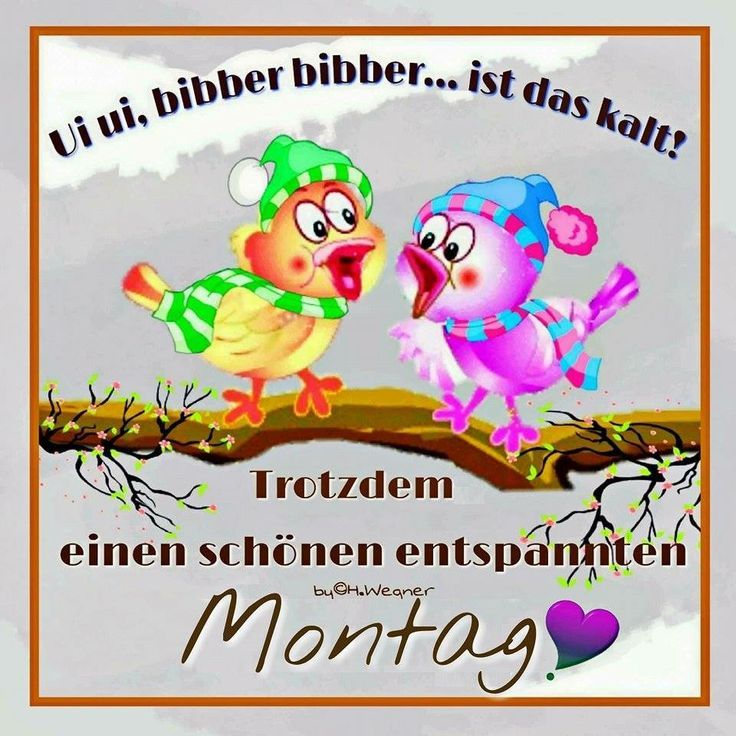 Schönen montag bilder kostenlos