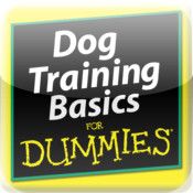 Dog Training Basics For Dummies Dog Training Basics For Dummies