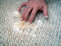 Cleaning dog urine from the carpet (vinegar, water, baking soda, hydrogen peroxi...