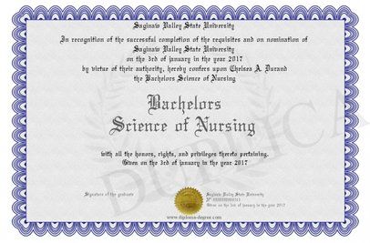 Admission essay for masters degree in accounting