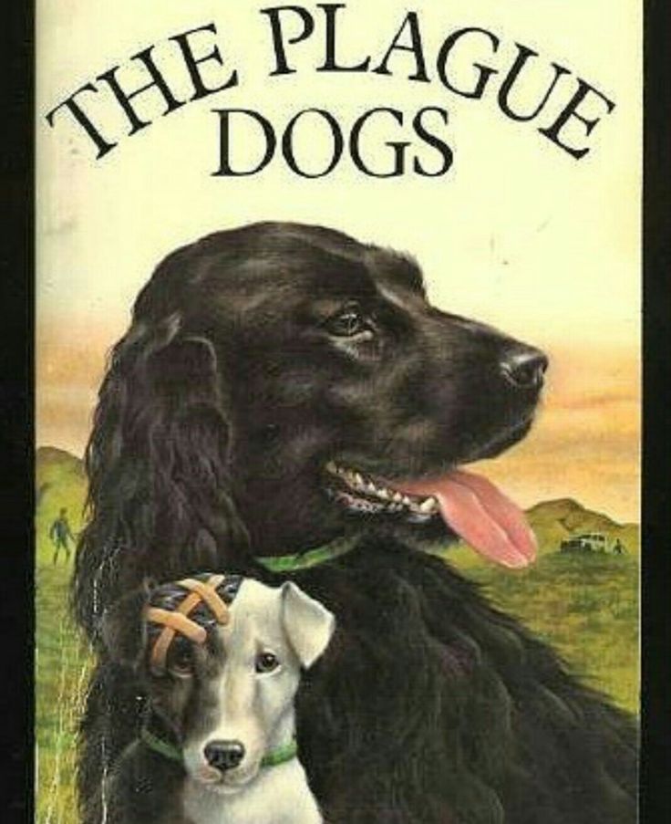 Watch The Plague Dogs Online Free Watch The Plague Dogs Online Free