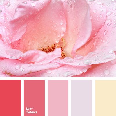 Pink Color Scheme 58 best -color palette- images on pinterest | colors, colour Pink Color Scheme 58 best -color palette- images on pinterest | colors, colour