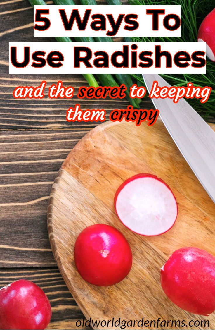 5 Ways To Use Radishes and How To Store Them So They