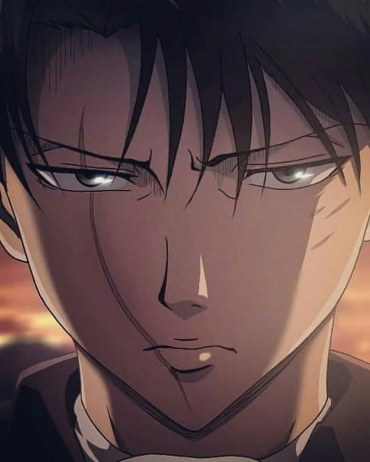 Levi Attack On Titan Attack On Titan Tattoo Attack On Titan Levi Attack On Titan Aesthetic