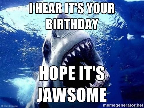 Jaws Birthday Cake Charlie Jaws Birthday Cake Charlie