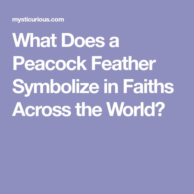 25 unique feather symbolism ideas on pinterest feather meaning 25 unique feather symbolism ideas on pinterest feather meaning