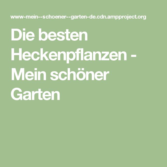 25+ melhores ideias de Heckenpflanzen no Pinterest Hedges jarda - heckenpflanzen 25+ melhores ideias de Heckenpflanzen no Pinterest Hedges jarda - heckenpflanzen