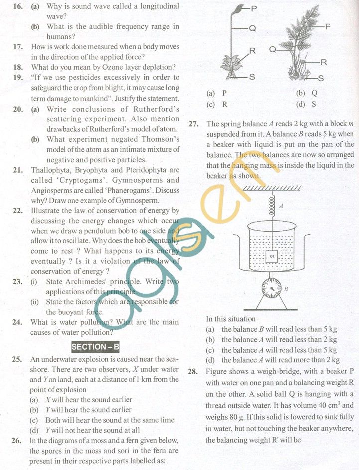 13 best question paper images on Pinterest Sample paper - sample paper 13 best question paper images on Pinterest Sample paper - sample paper