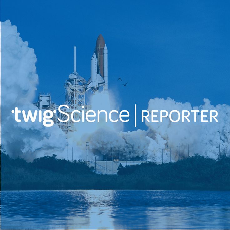twig science twig science