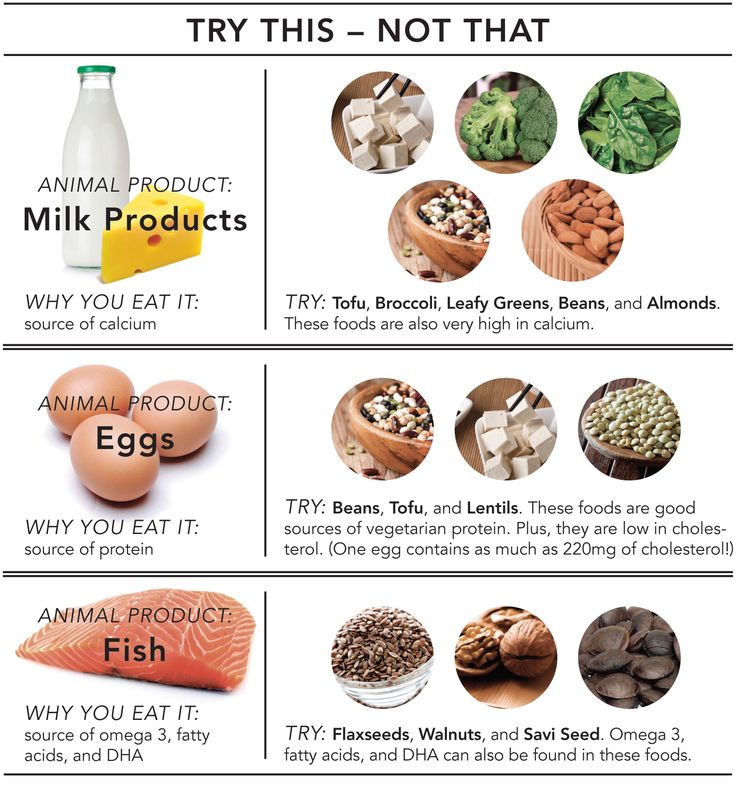 Can I Drink Protein Shakes Instead Of Eating Meat Can I Drink Protein Shakes Instead Of Eating Meat