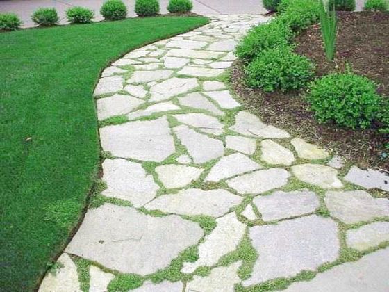 https://i.pinimg.com/736x/d8/aa/0b/d8aa0b3614de15531f6e6f45a36aef35--irish-moss-backyard-ideas.jpg