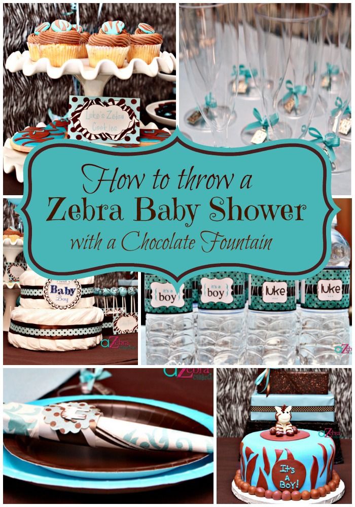 Zebra Themed Boy Baby Shower Babyshower Zebra Themed Boy Baby Shower Babyshower