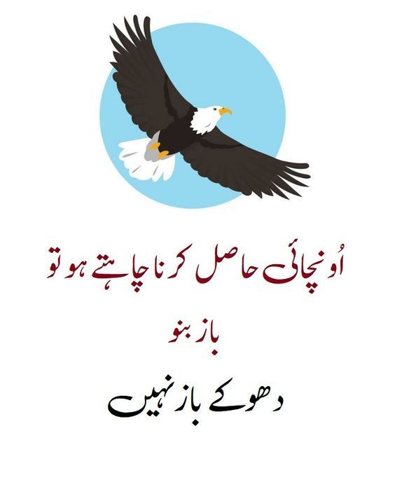 Islamic Lines Urdu Quotes With Images Insightful Quotes Intense Quotes islamic-lines-urdu-quotes-with-images-insightful-quotes-intense-quotes