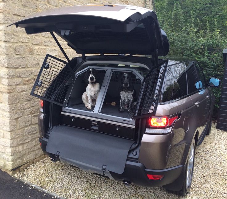 Lintran Dog Box Review Lintran Dog Box Review