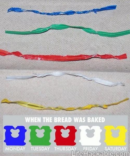 the five useful household inventions Top 5 inventions for kids are explained in this article from howstuffworks learn about the top 5 inventions for kids. the five useful household inventions Top 5 inventions for kids are explained in this article from howstuffworks learn about the top 5 inventions for kids.