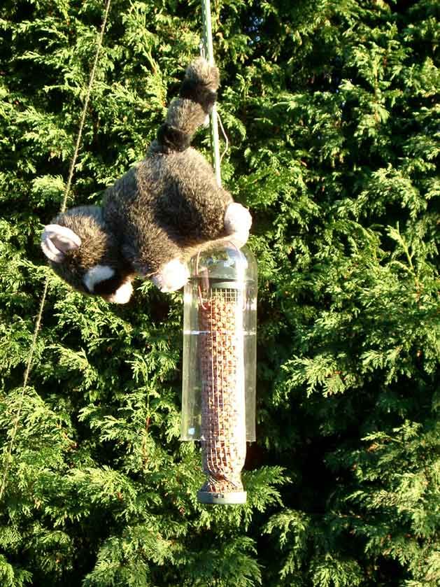 diy squirrel proof bird feeder lol this is genius also diy squirrel proof bird feeder lol this is genius also
