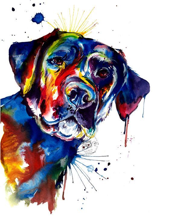 107 best Labrador Dog Art images on Pinterest | Black labs ...