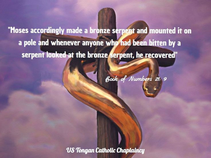 Pin On Bible Quotes pin-on-bible-quotes
