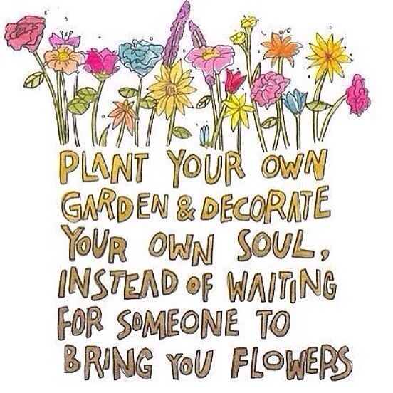 17 Best Plant Your Own Garden Images On Pinterest Plants Plant Your Own Garden