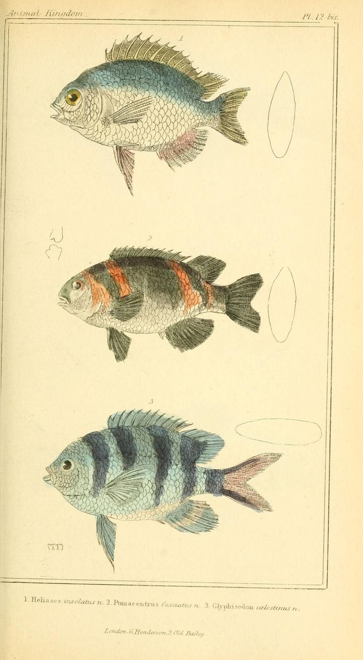 Illustrations by Victor Miller-Gause 96 Illustrations by Victor Miller-Gause 54