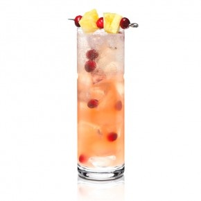 Vodka And Grapefruit Juice And Soda Water Drink Name Vodka And Grapefruit Juice And Soda Water Drink Name