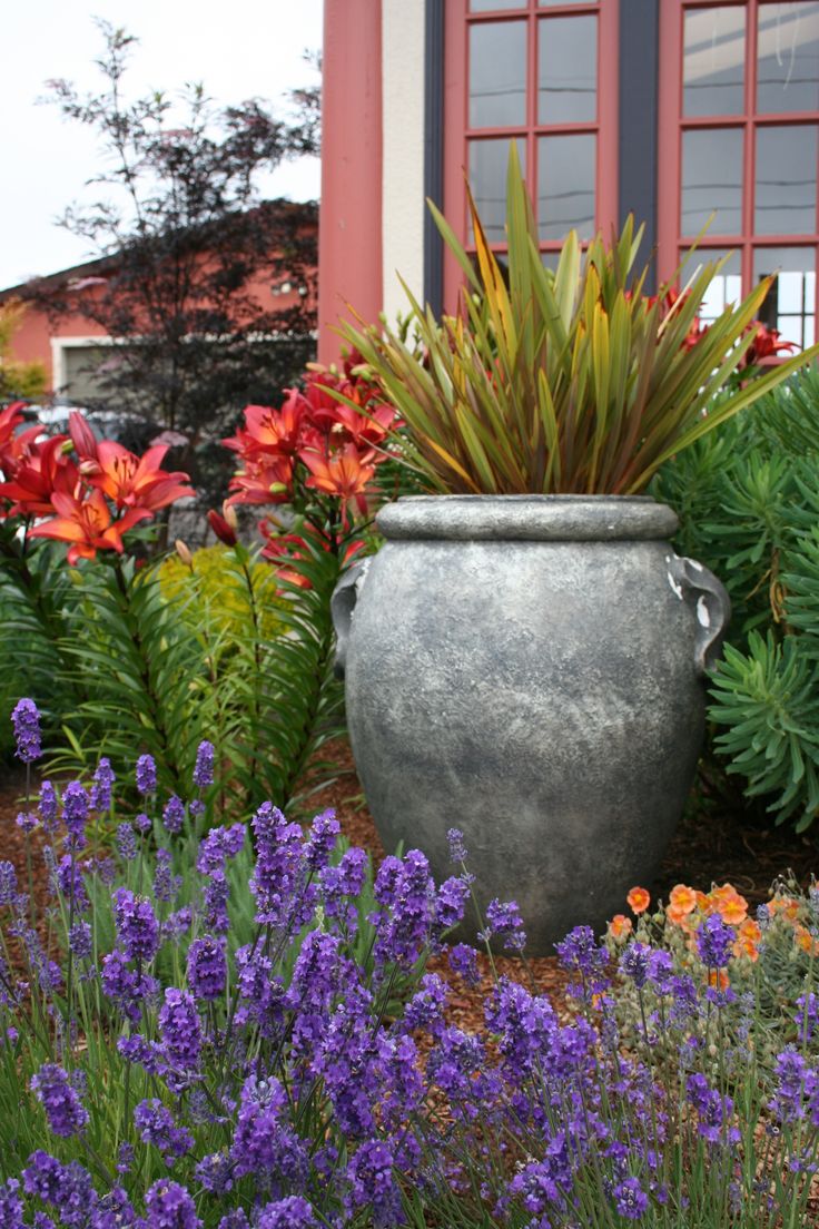 Garden Design Pics best 25+ mediterranean garden design ideas on pinterest Garden Design Pics best 25+ mediterranean garden design ideas on pinterest