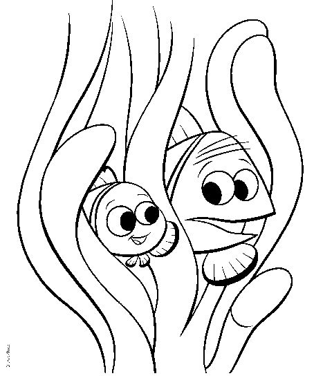 Best 25+ Finding nemo coloring pages ideas on Pinterest | Finding ... Best 25+ Finding nemo coloring pages ideas on Pinterest | Finding ...