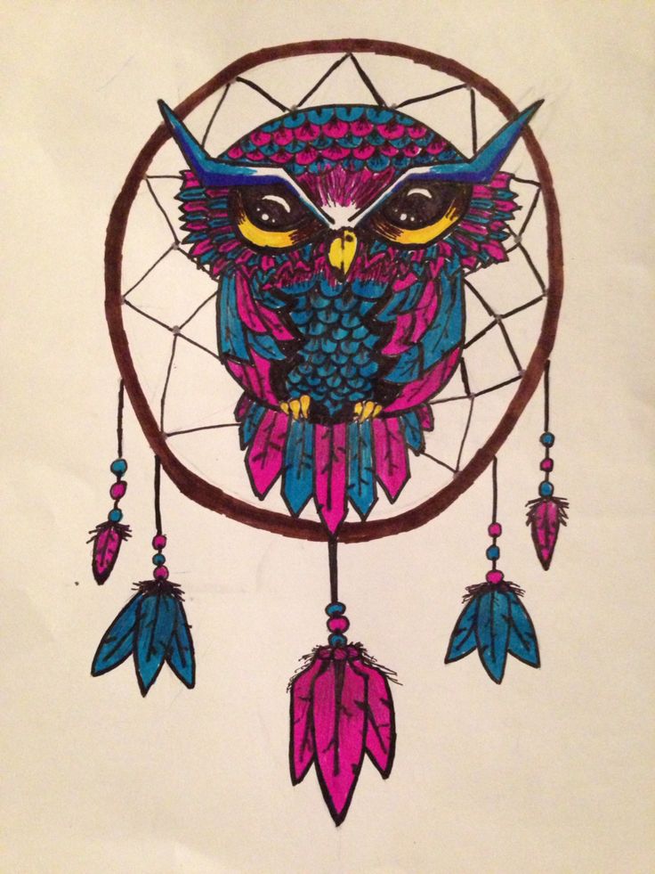 My owl I drew | Owl illustration, Owl wallpaper, Owl dream catcher
