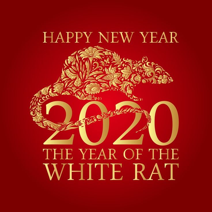 2020的Happy Chinese New Year Food Illustration Background