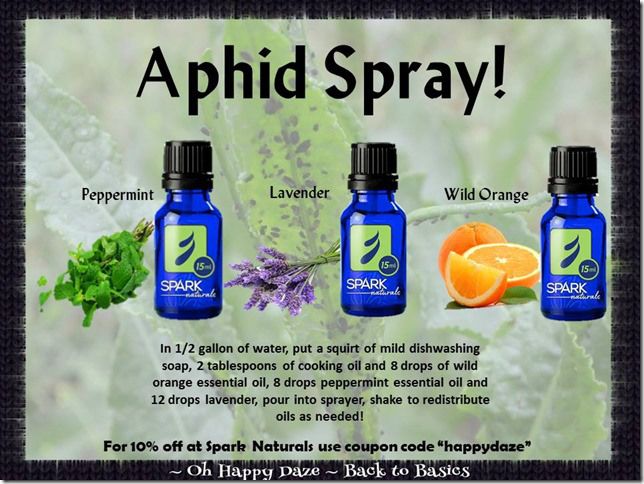 Oil garden essential oils discount coupons