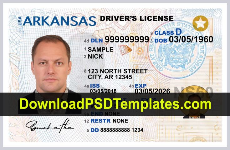 fake driving licence template