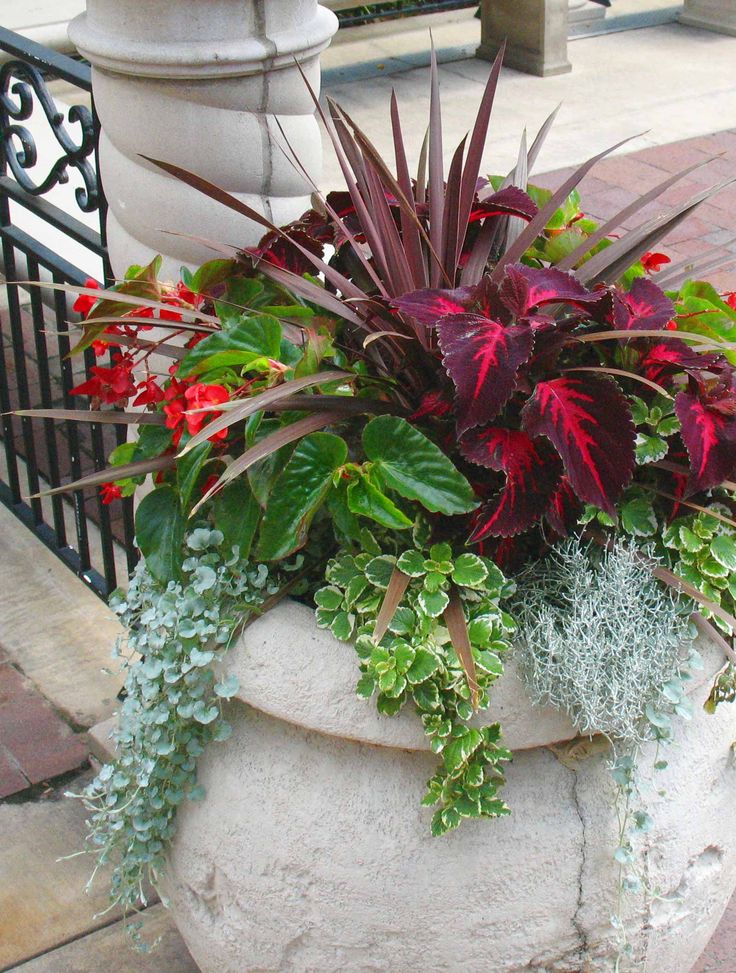 Potted Garden Flowers 348 best outdoor flower container ideas images on pinterest | pots Potted Garden Flowers 348 best outdoor flower container ideas images on pinterest | pots
