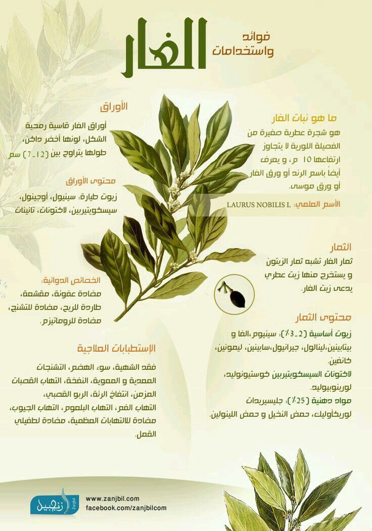 مرض الانسداد الرئوي المزمن Chronic Obstructive Pulmonary Disease شاركغرد Pulmonary Disease Chronic Obstructive Pulmonary Chronic Obstructive Pulmonary Disease