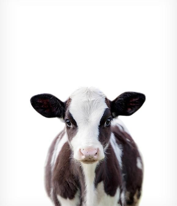 Tierbabydrucke: Einzigartige, unglaublich detaillierte Tierbabydrucke ... - Ani...