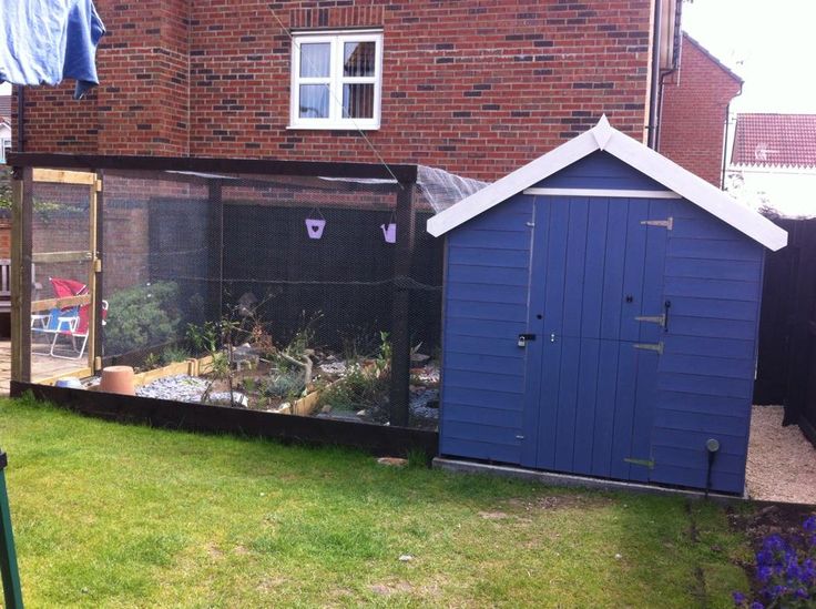 Shed and aviary with dividers | Shed, Outdoor structures, Sulcata tortoise