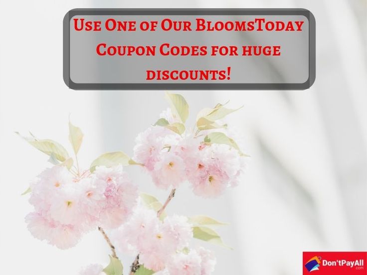 Blooms Today Coupon For Affordable Flowers Affordable flowers Blooms Today Coupon For Affordable Flowers Affordable flowers