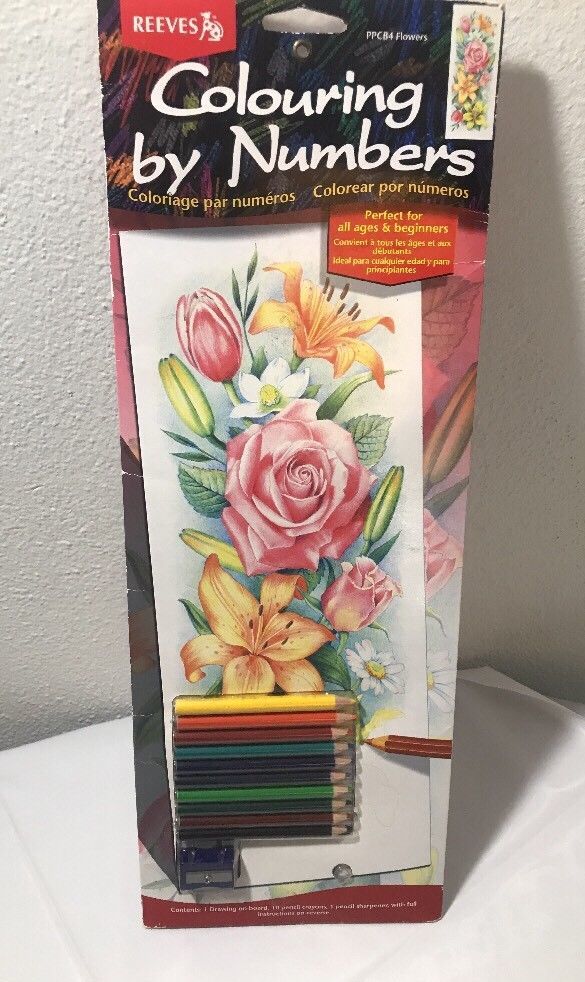 color by number pencil kit flowers reeves 17 1 4 inch by 6 1 4 inch