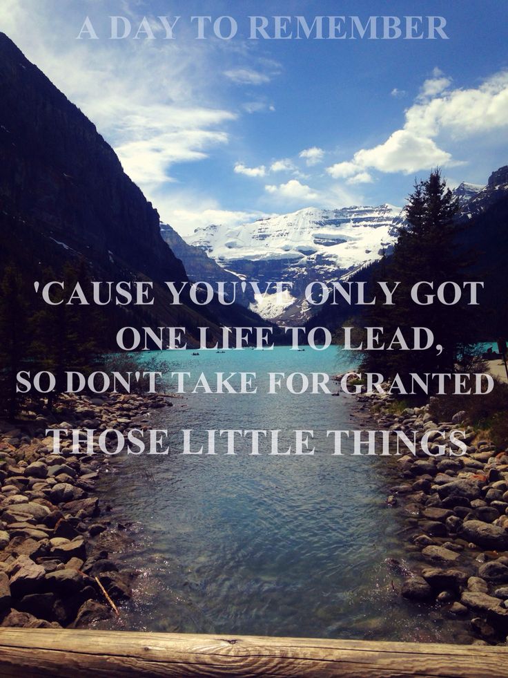 A Day To Remember - This Is The House That Doubt Built. Lyrics, life A Day To Remember Best Of Me Lyrics
