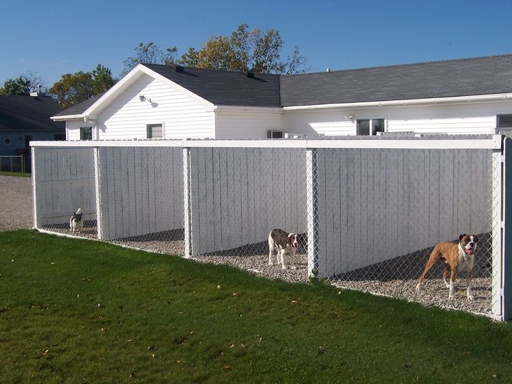 Most Popular Ideas Of All Time Dogkennelrun Dog Boarding Kennels Kennel Flooring Outdoor Dog Kennel Flooring, Outdoor Dog Kennel With Roof And Floor