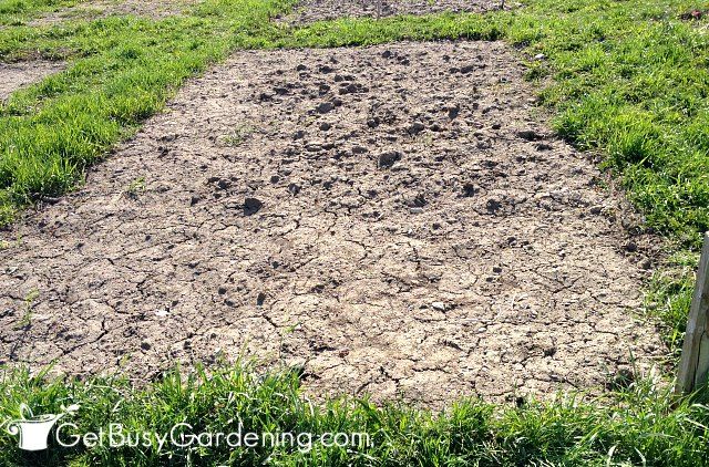 How To Prepare A Garden Bed For Planting Vegetables How To Prepare A Garden Bed For Planting Vegetables