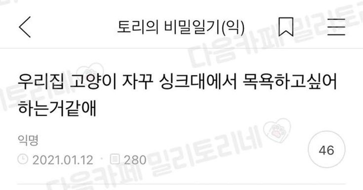 반려동물에 있는 핀 반려동물에 있는 핀