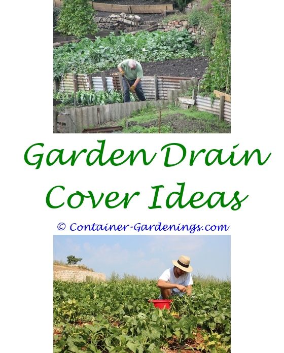 Gardening Australia School Garden Ideas Pinterest Mexican Gardening Ideas Potager Garden Layout Winter California Secret Wedding