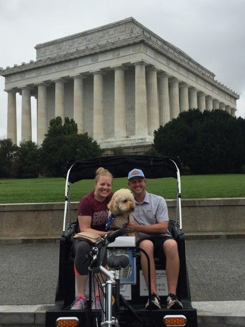 Dog Friendly Private Tour of Washington DC
